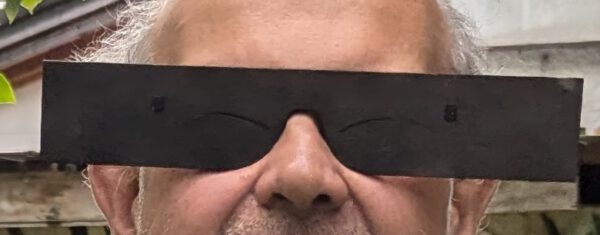 Inkognito-Brille