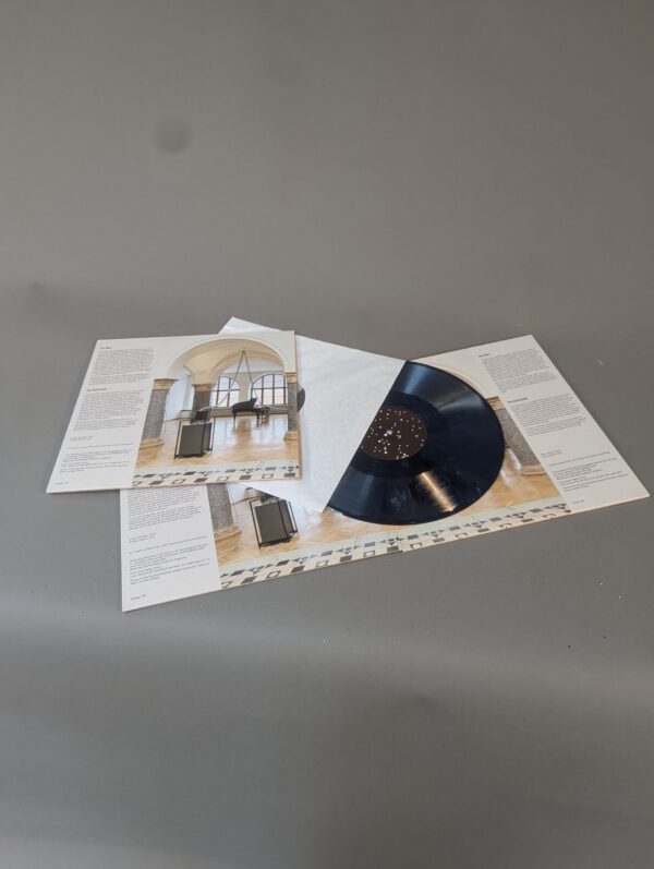 Instrumentalized - in Vinyl
